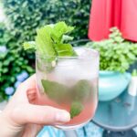 Cheers to this mint plant in the background that has been my go-to for squeaky c…