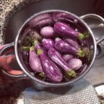 How adorable (and beautiful) are these baby eggplants that I got from a local ma…
