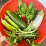 My first summer veggie harvest of 2022. I got a later start on the garden than u…