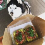 Our handsome house guest seems veeeerrrry interested in my spicy tuna avocado to…